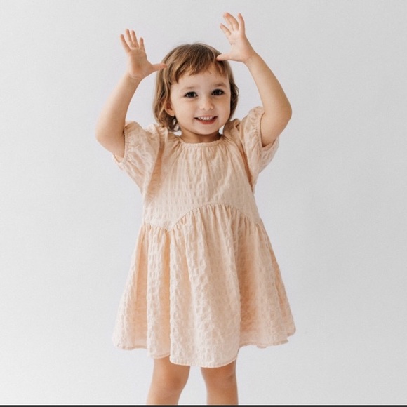 NWT Zara 18-24m textured pink weave dress - Picture 4 of 4